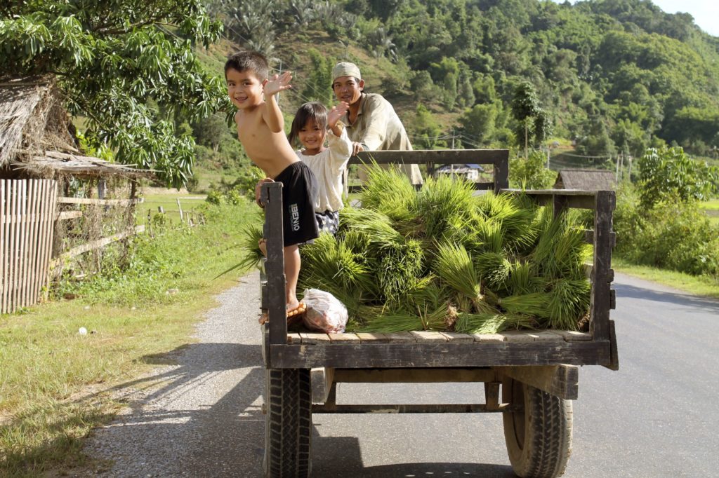 Kinder in Laos auf Erntewagen