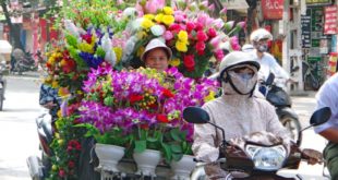 Top 10 Städte bei einer Vietnam-Reise