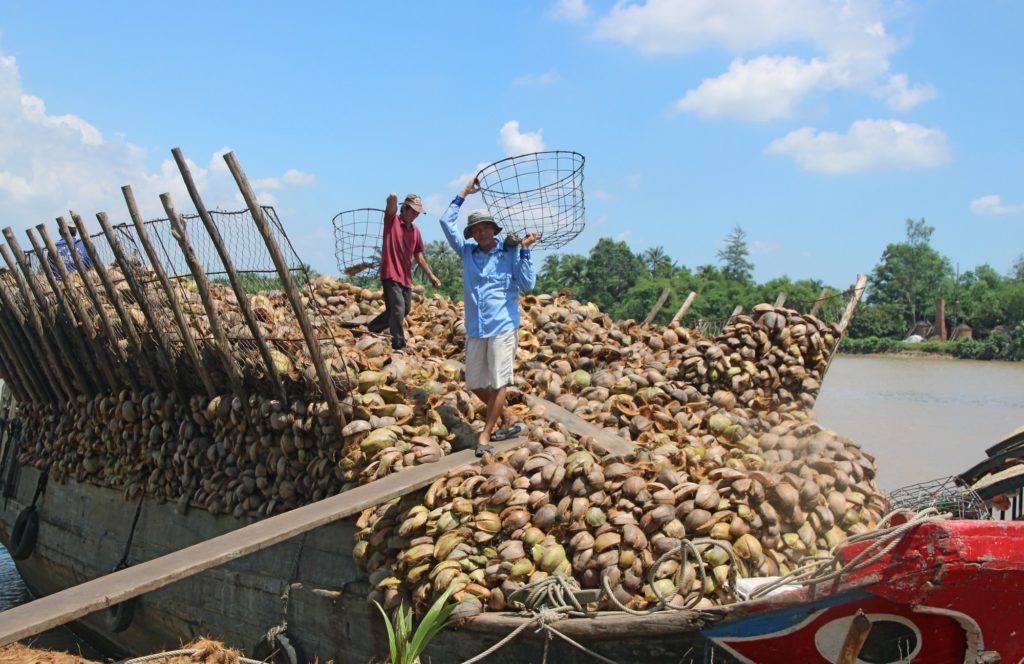 Kokosnussverarbeitung in Vietnam