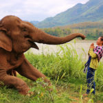 Frau mit Elefant am Mekong in Laos