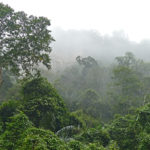 Kurzer Regenschauer im Ba-Be-Nationalpark in Vietnam