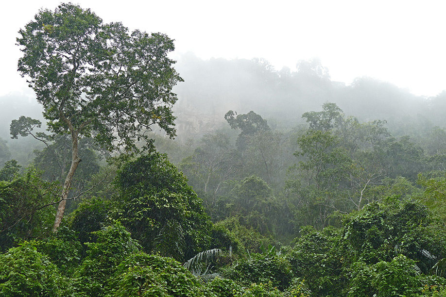 Kurzer Regenschauer im Ba-Be-Nationalpark in Vietnam