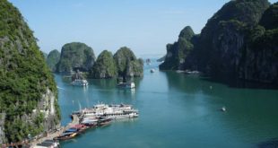 herrlicher Blick auf die Inseln der Halong-Bucht in Vietnam