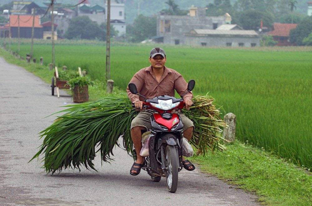das Motorrad - Extrem beliebtes Transportmittel in Vietnam